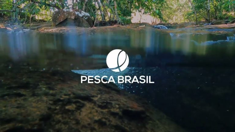 Novidades Imperdíveis em Acessórios Vape para Entusiastas em Portugal