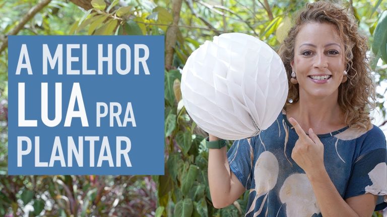 Vapes Descartáveis: A Revolução do Vaping
